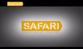 Safari TV