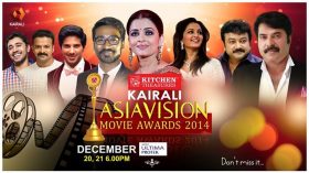 Asiavision Movie Awards 2014