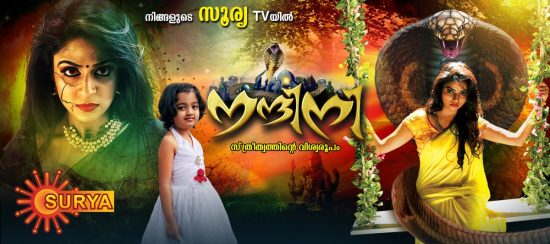 nandini malayalam horror tv serial online