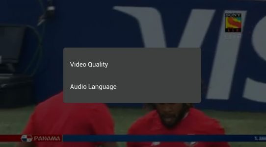 audio language change in sony liv app