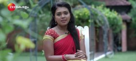 heroine of zee keralam serial pookkalam varavayi