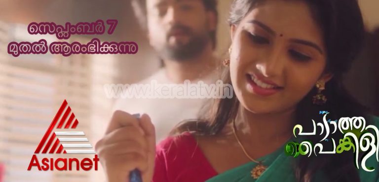 Padatha Paingili Serial Online