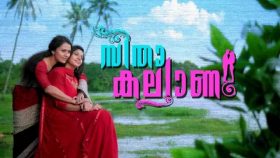 Seetha Kalyanam Serial