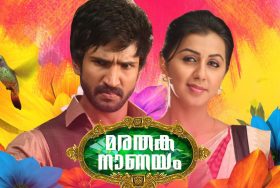 Martahaka Nanayam Onam Movie