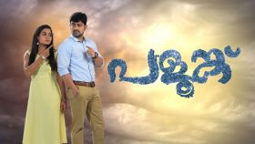 Palunku Today Episode Online Hotstar