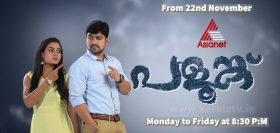 Serial Palunku Asianet Hero