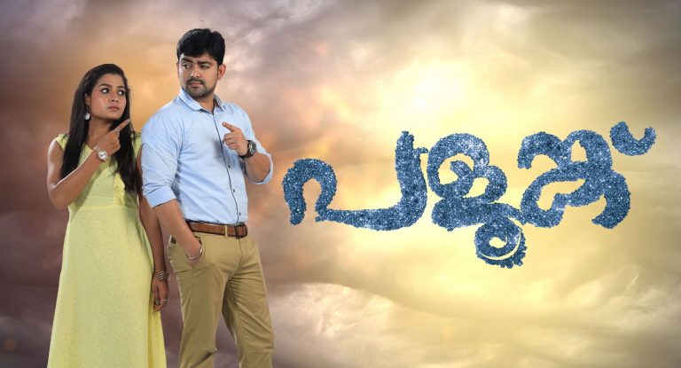 Asianet Serial Palunku Rating Report