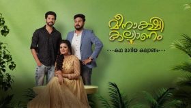 Serial Meenakshi Kalyanam Opening Week TRP