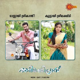 Aniyathipravu Serial Star Cast