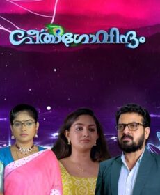 Geetha Govindam Serial Cast