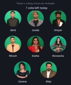 Bigg Boss Online Voting