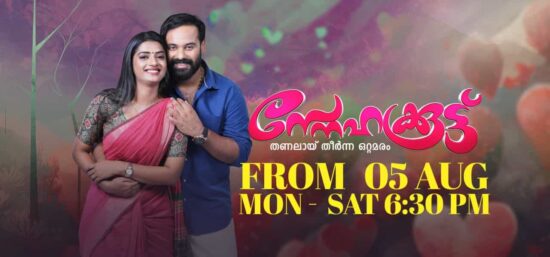 Snehakoottu Malayalam Serial